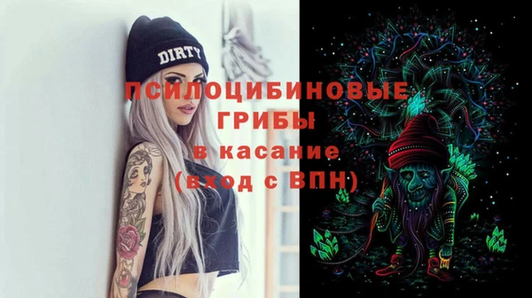 соль ск Армянск